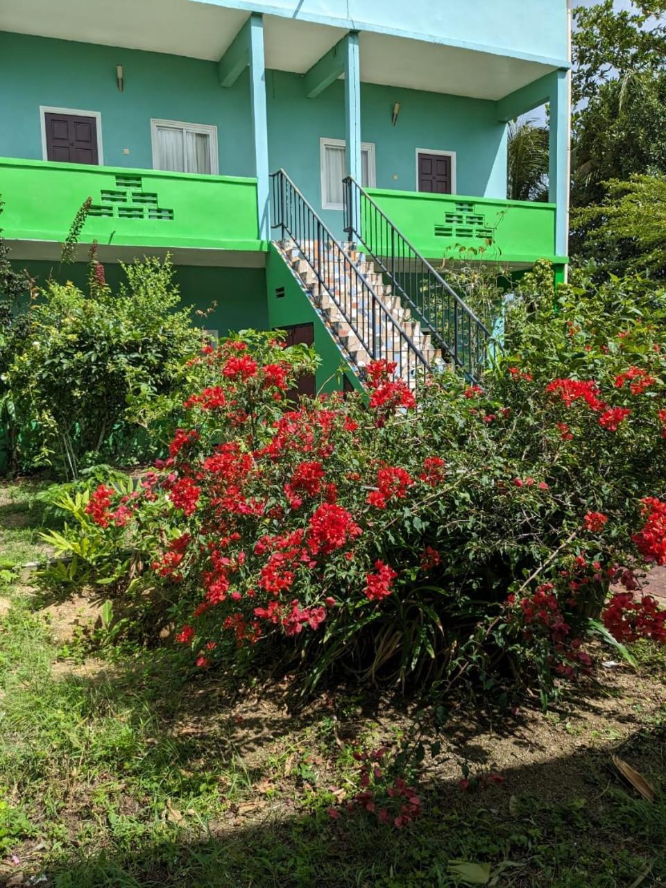 De Kolibrie Appartementen Paramaribo Ngoại thất bức ảnh
